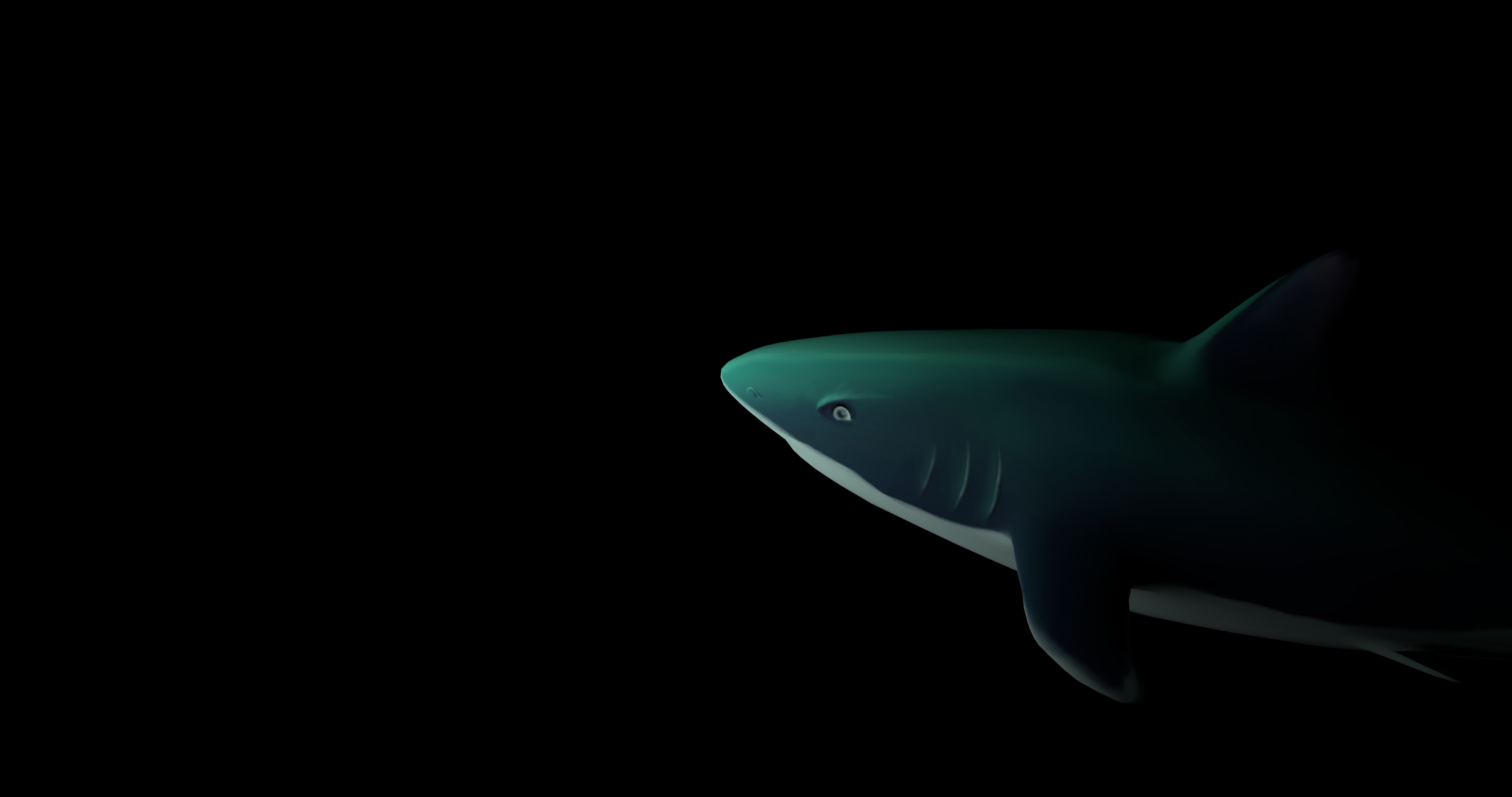 3D Visualization