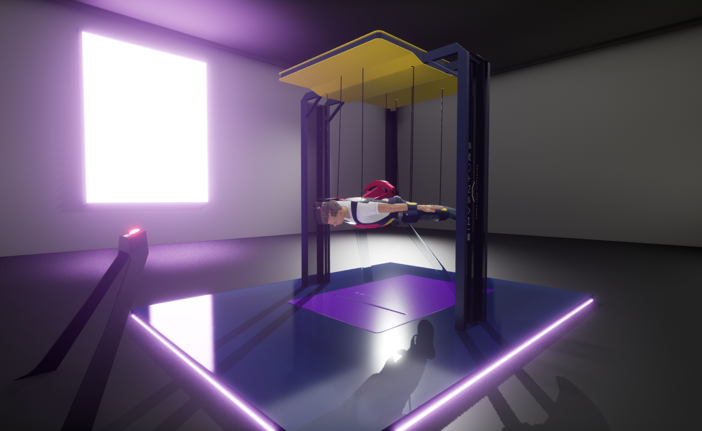 Soma Reality SimVenture Wingsim